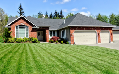 Choosing the Right Type of Grass for Your Lawn