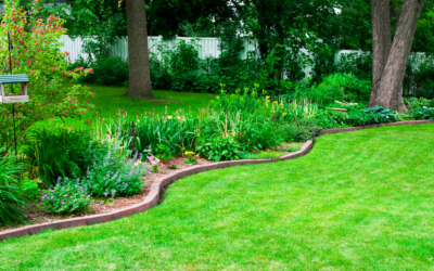 Summer Lawn Care Tips: Keep Your Grass Green and Healthy