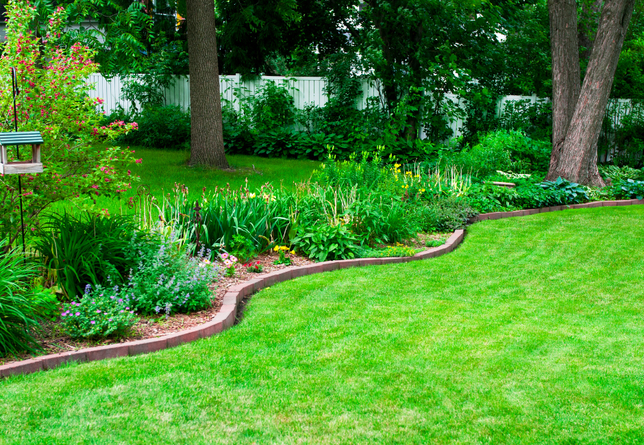 Summer Lawn Care Tips: Keep Your Grass Green and Healthy