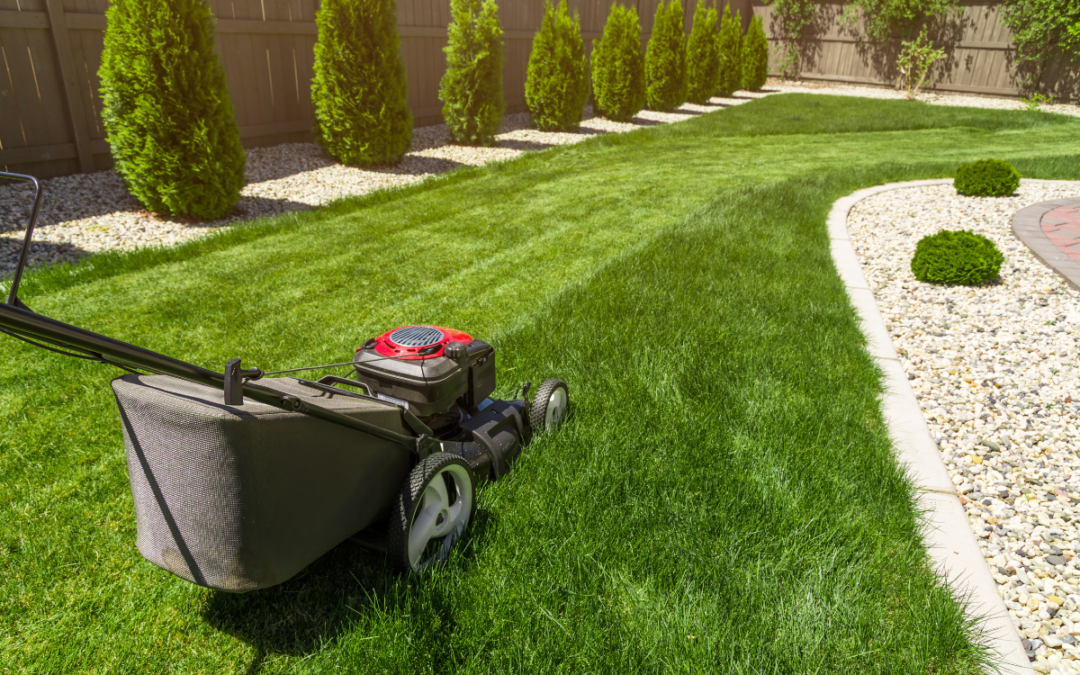 Late Summer Lawn Maintenance Tips for Rainy Conditions